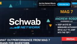 mag 7 schwab